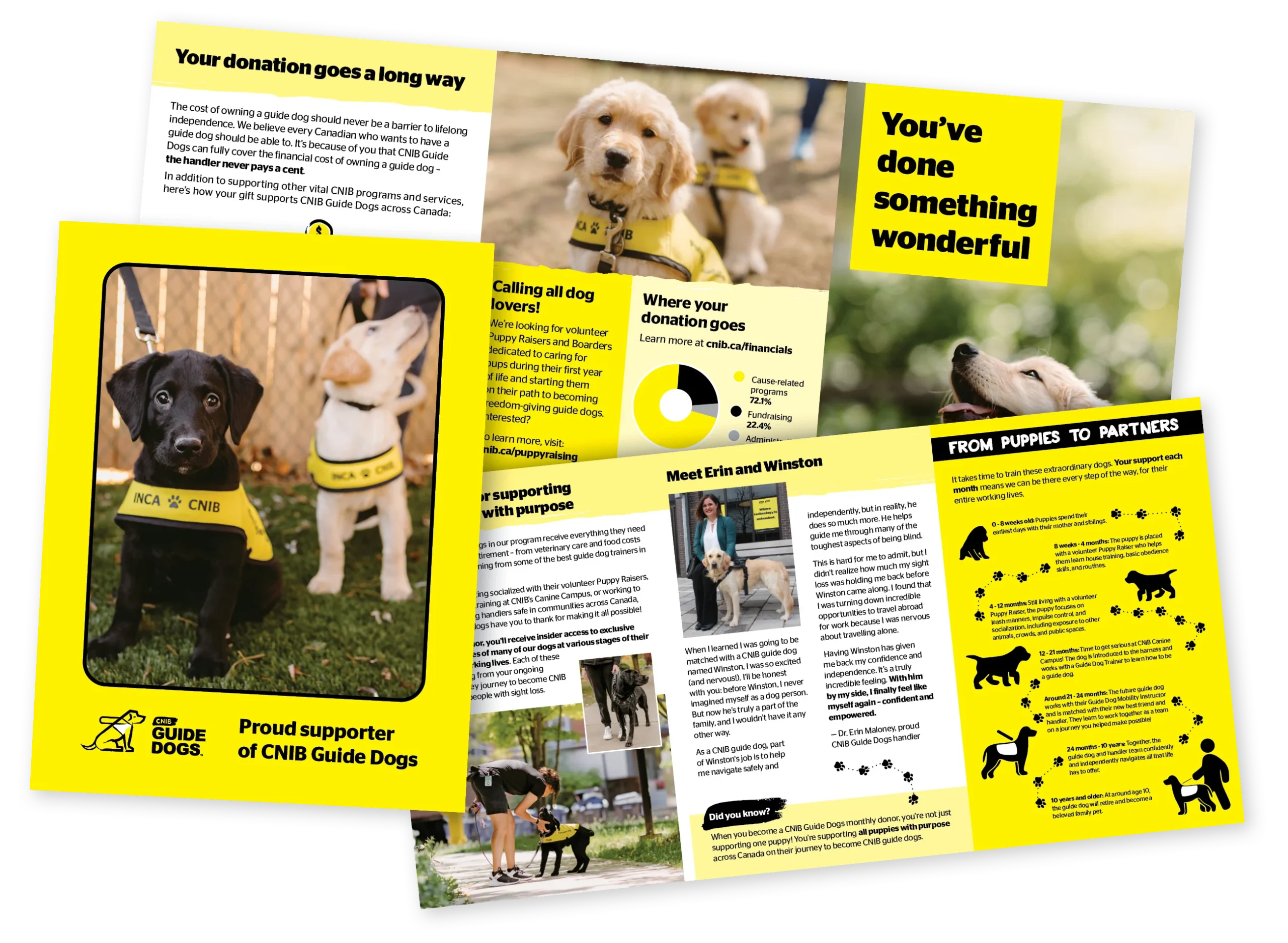 CNIB Guide Dogs brochure and fridge magnet with image of puppies that reads “Proud supporter of CNIB Guide Dogs."