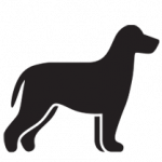 Icon-Dog-10-years